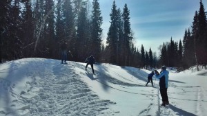 ТЛТ 2017 1