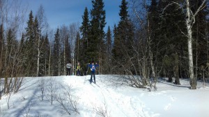 ТЛТ 2017 2
