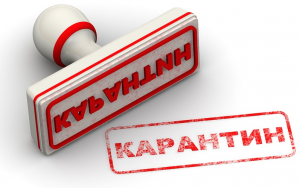 karantin