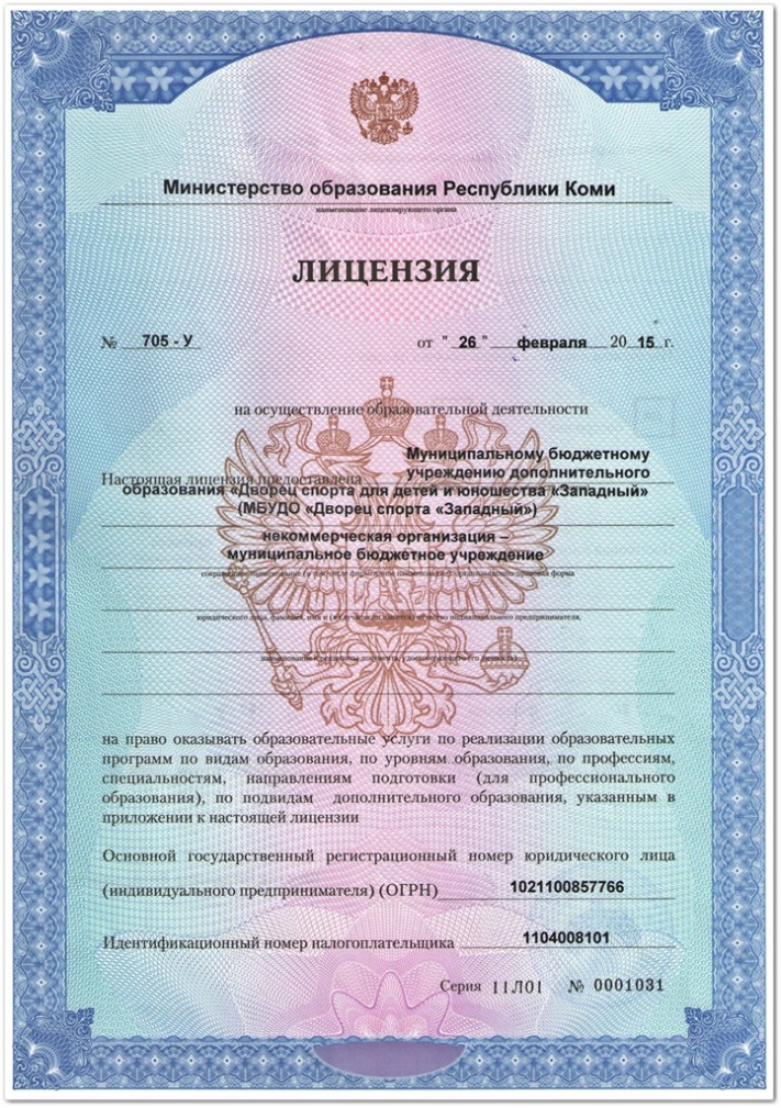 Лицензия 2015