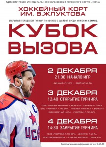 Хоккей с шайбой зрослые