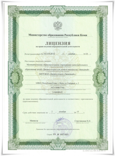 Лицензия 001